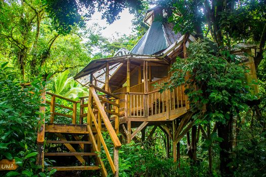 Treehouse Heaven San Simeon Etats Unis Homeexchange