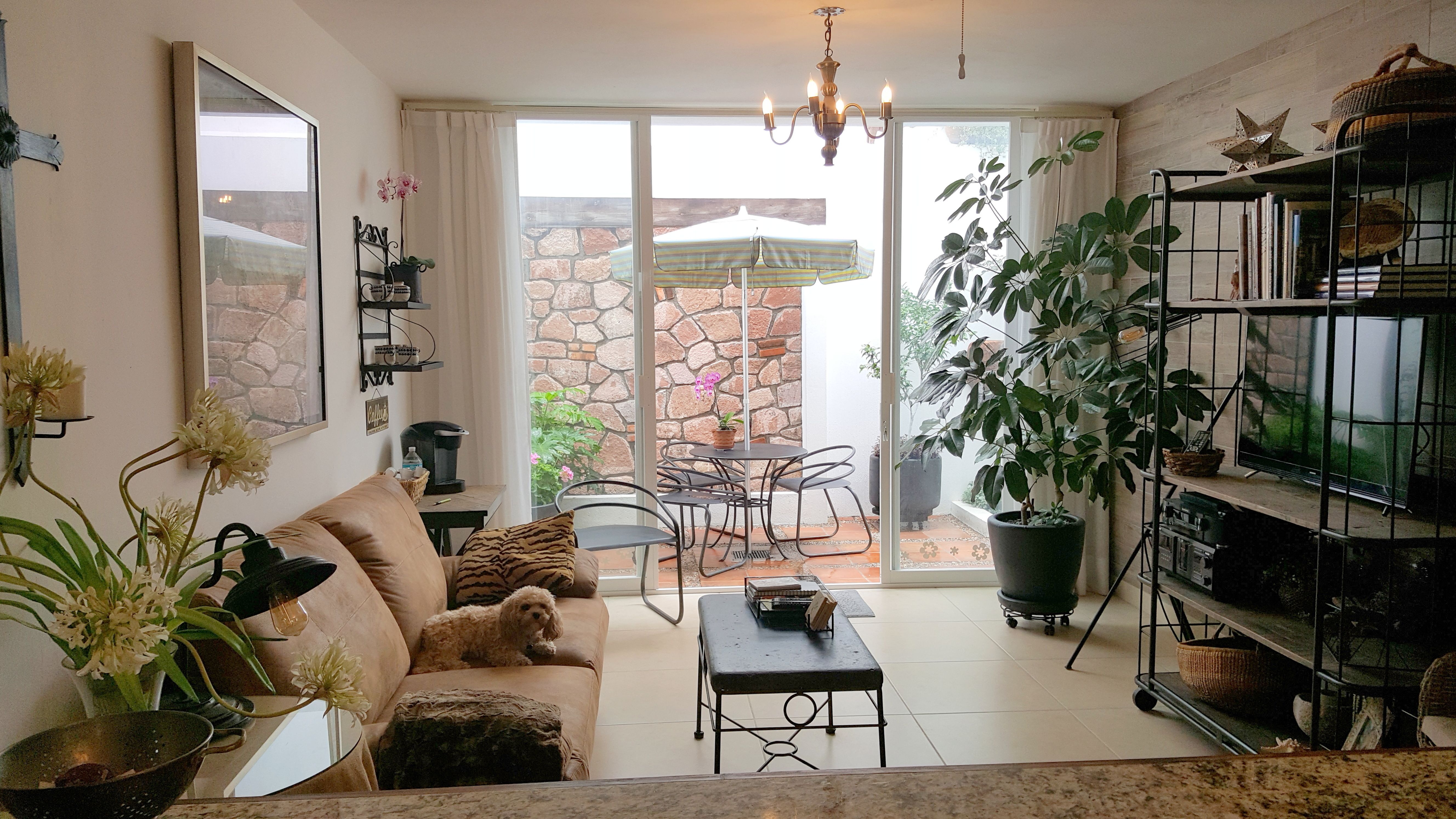 Das Haus Von Dale Andy Brous La Lejona Mexique Homeexchange