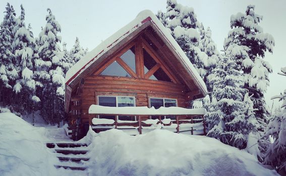 2 Bedroom Log Cabin With Bunkhouse At The Base Of Alyeska Ski