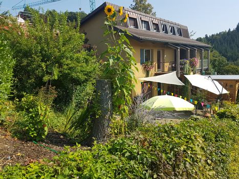 Das Haus Von Henning Winterthur Suisse Homeexchange