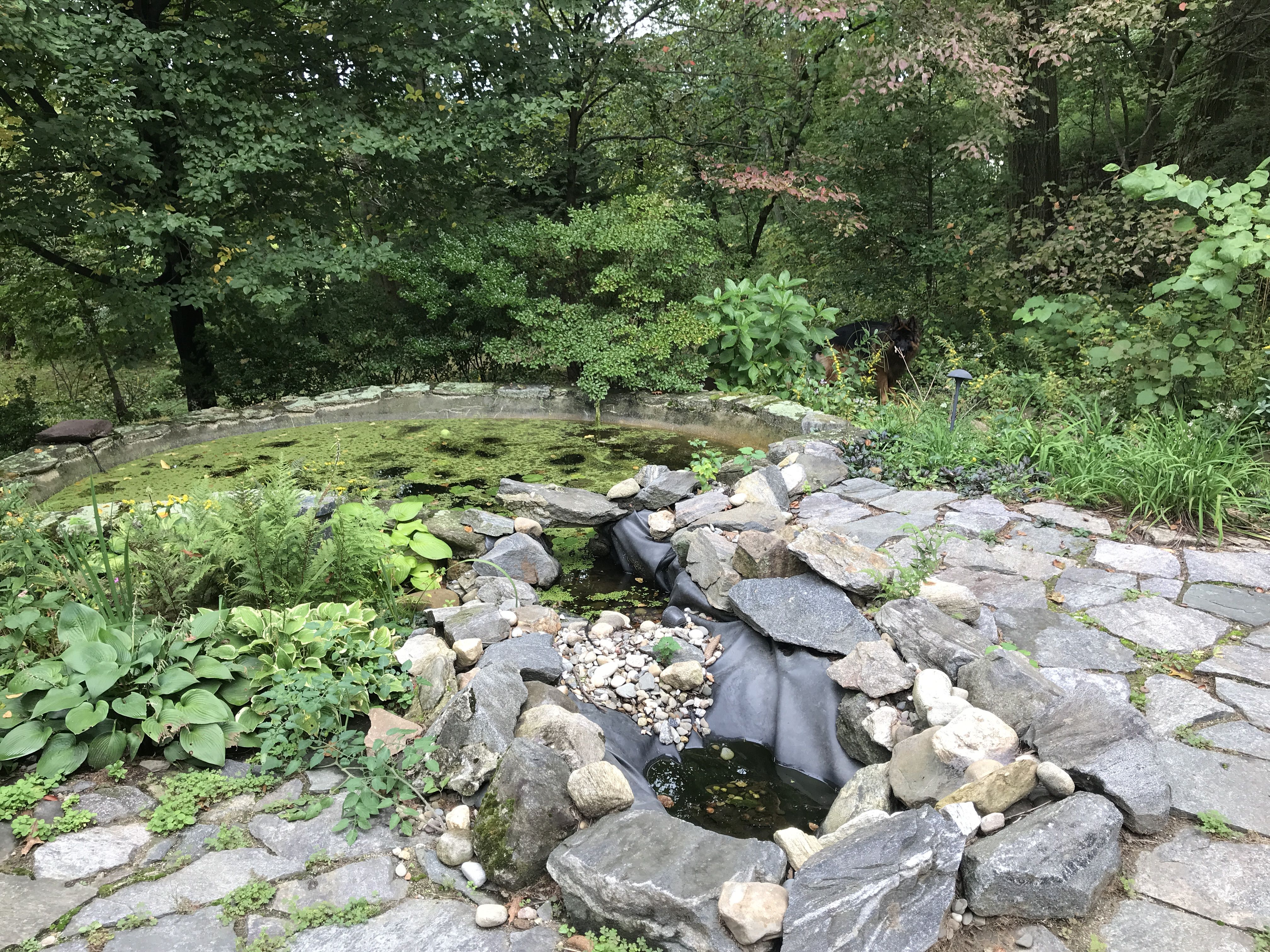 Das Haus von Randy - Briarcliff Manor / États-Unis - HomeExchange