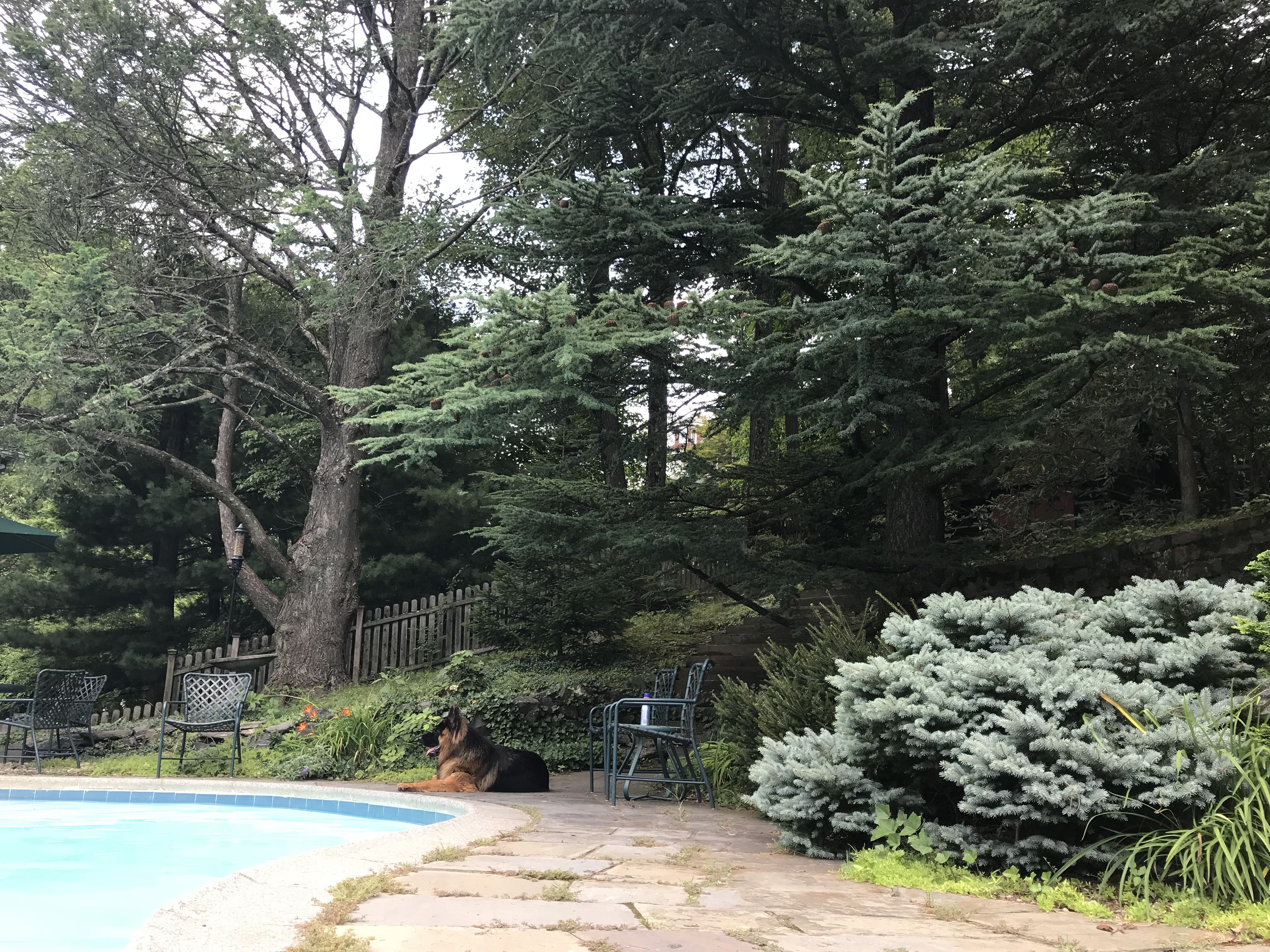 Das Haus von Randy - Briarcliff Manor / États-Unis - HomeExchange