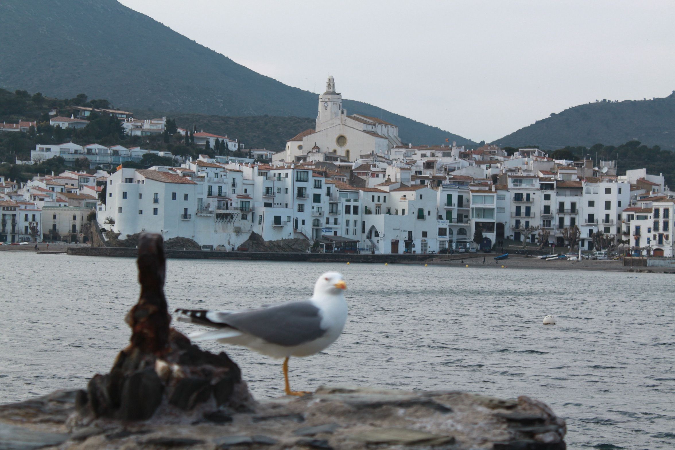 La maison de Catherine - Saint-Estève / France - HomeExchange