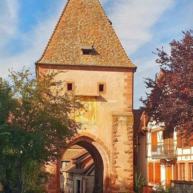 Un Lit Pour Des Vins Allemands