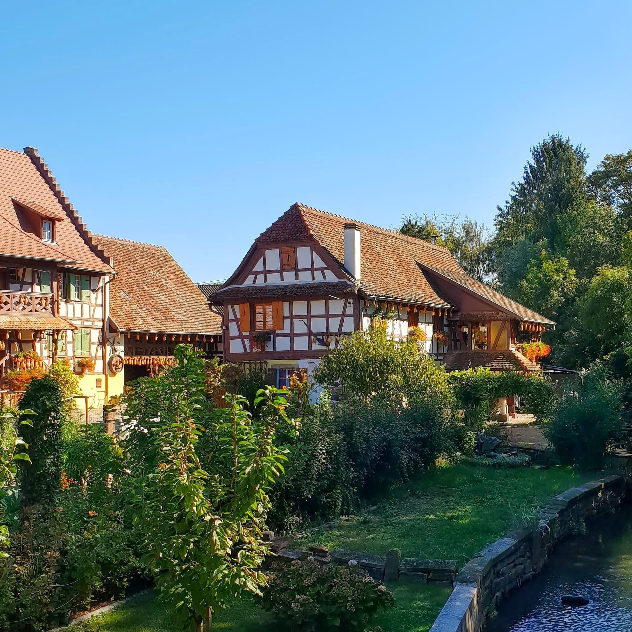Un Lit Pour Des Vins Allemands