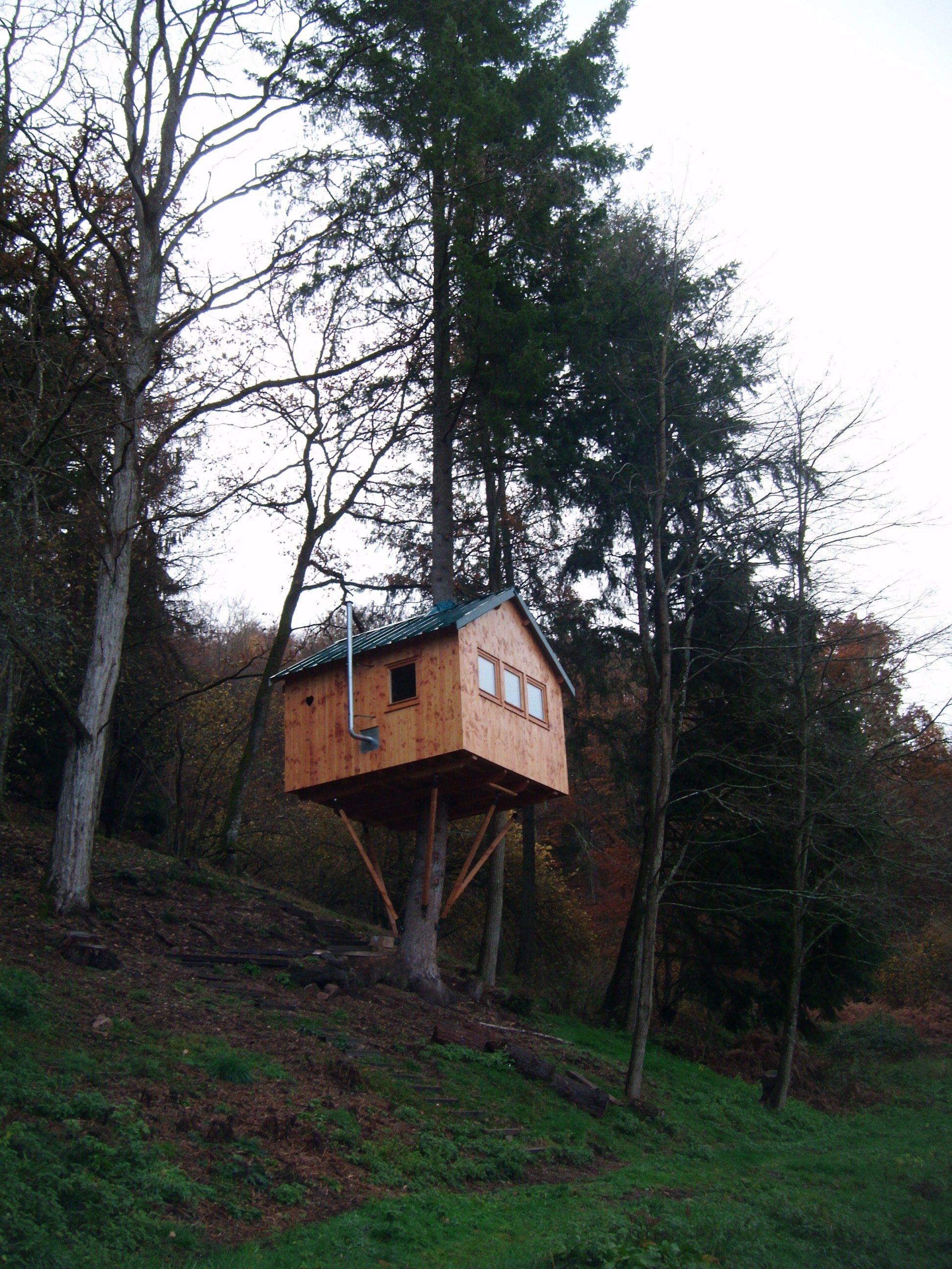 La cabane perchée dans l'arbre - Alligny-En-Morvan ...