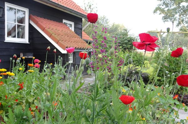 Available during Christmas - cottage with stove - countryside, near Rotterdam