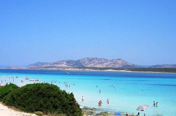 LOOKING FOR PARIS CENTRE-VILLE Bienvenus en Sardaigne! Très bel appartement de 110m2