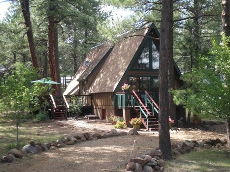 Darling Cabin In The Woods In Flagstaff Arizona Flagstaff