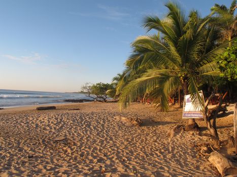 Eco Friendly And Comfy Cabin In Playa Avellanas Guanacaste