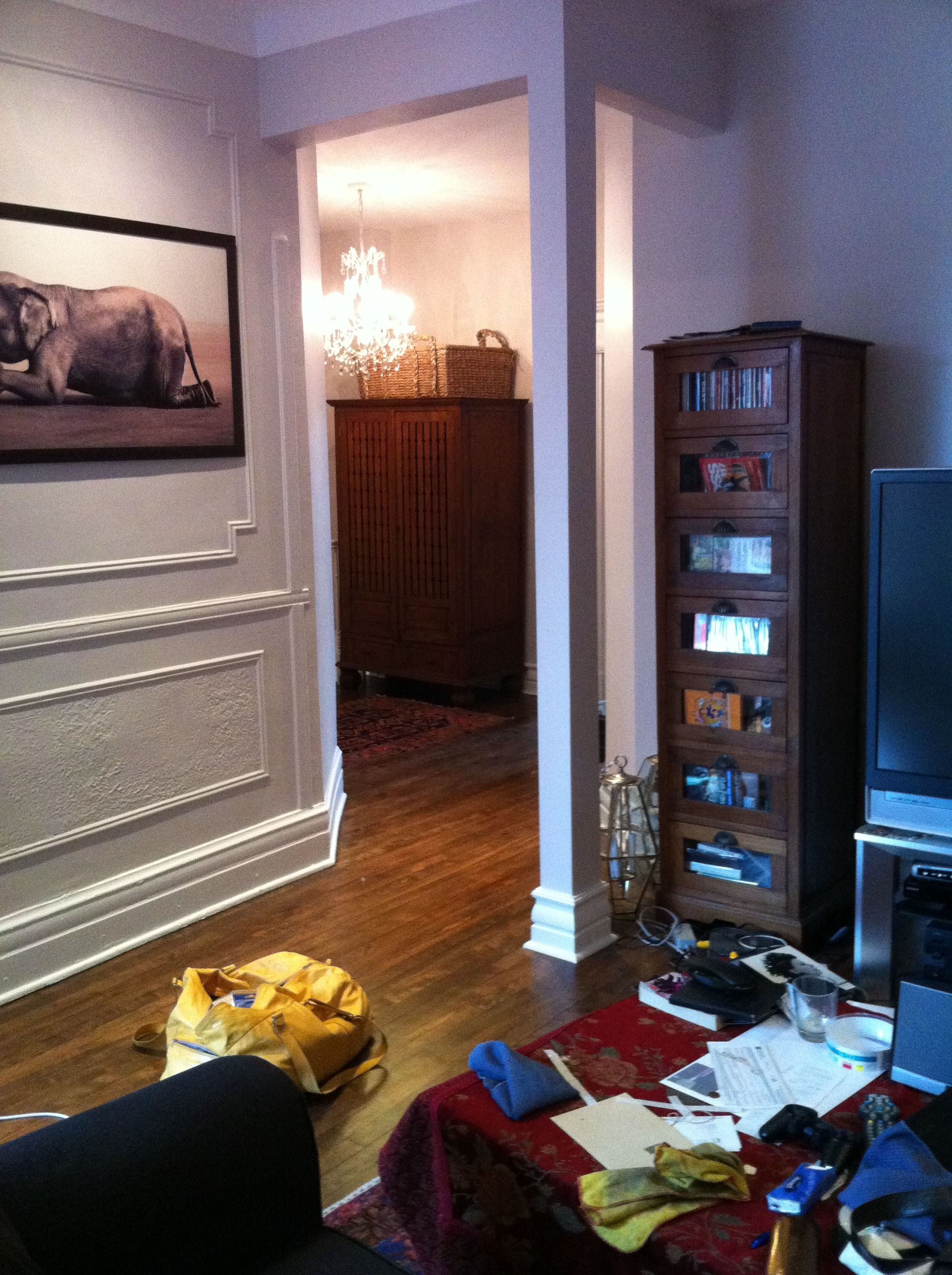 Combien De M2 Pour Un Chat En Appartement