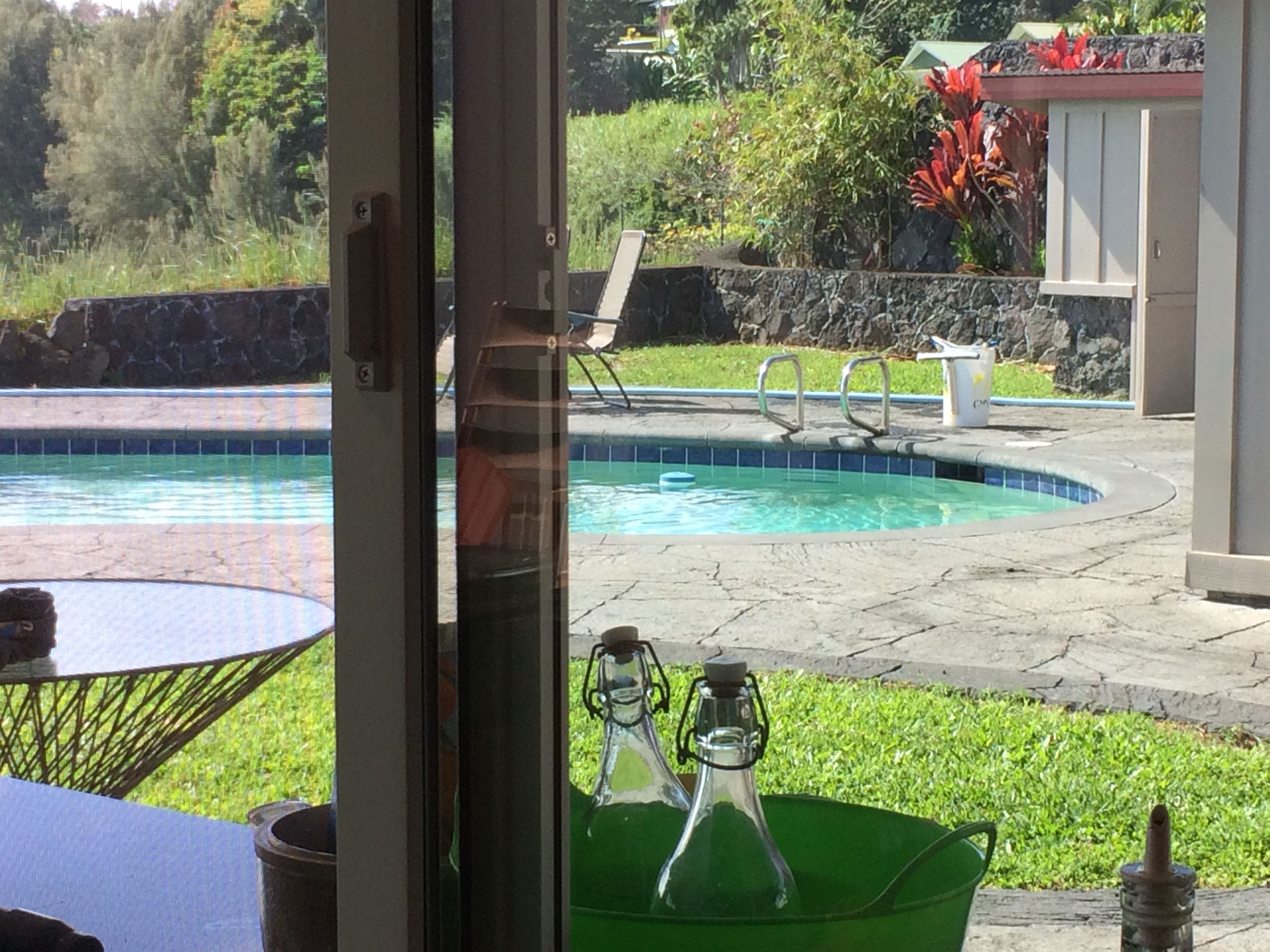 The Aloha of Hawaii is here, overlooking Hilo Bay, walk to the surfing