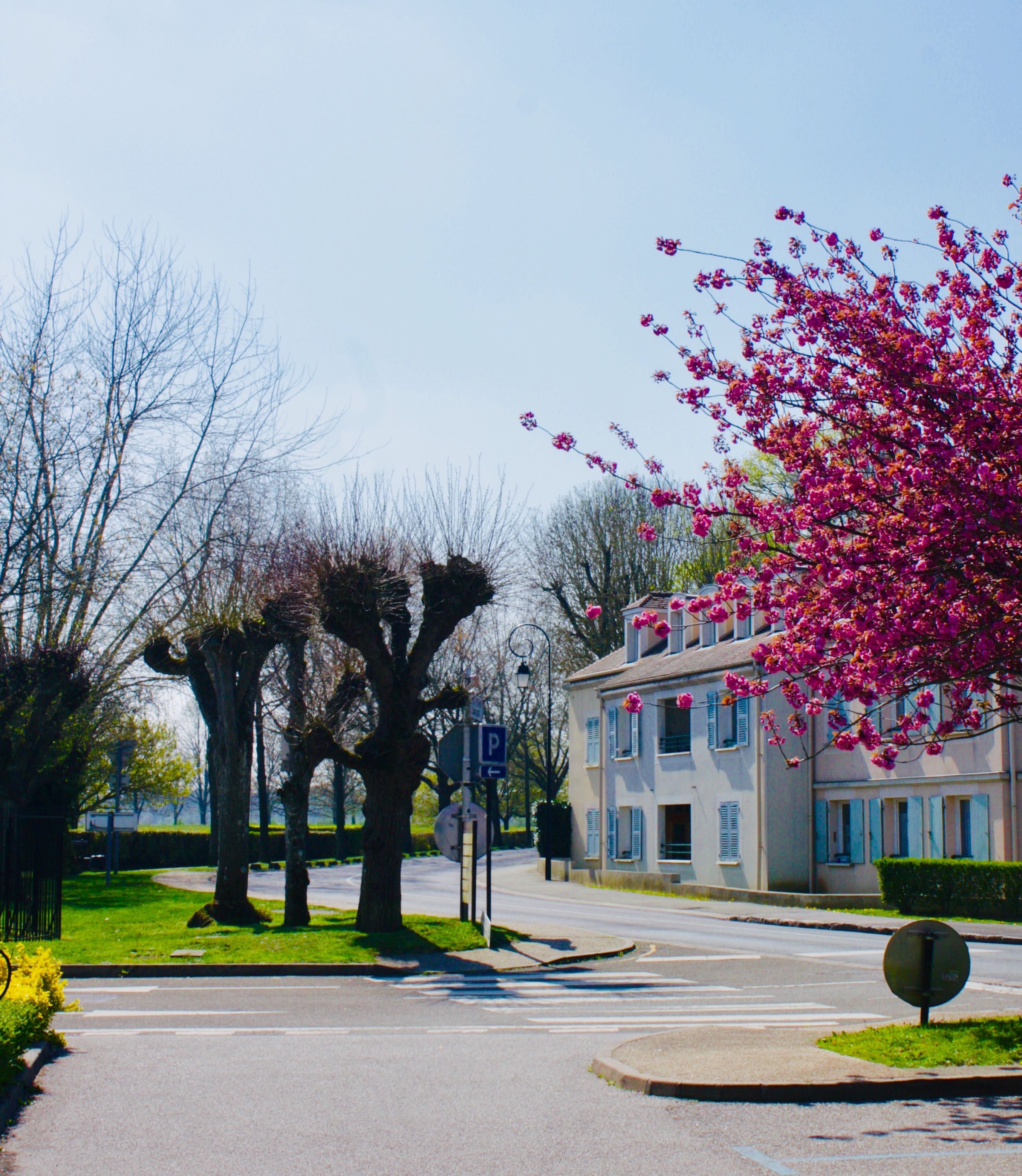 bicyclette parc versailles
