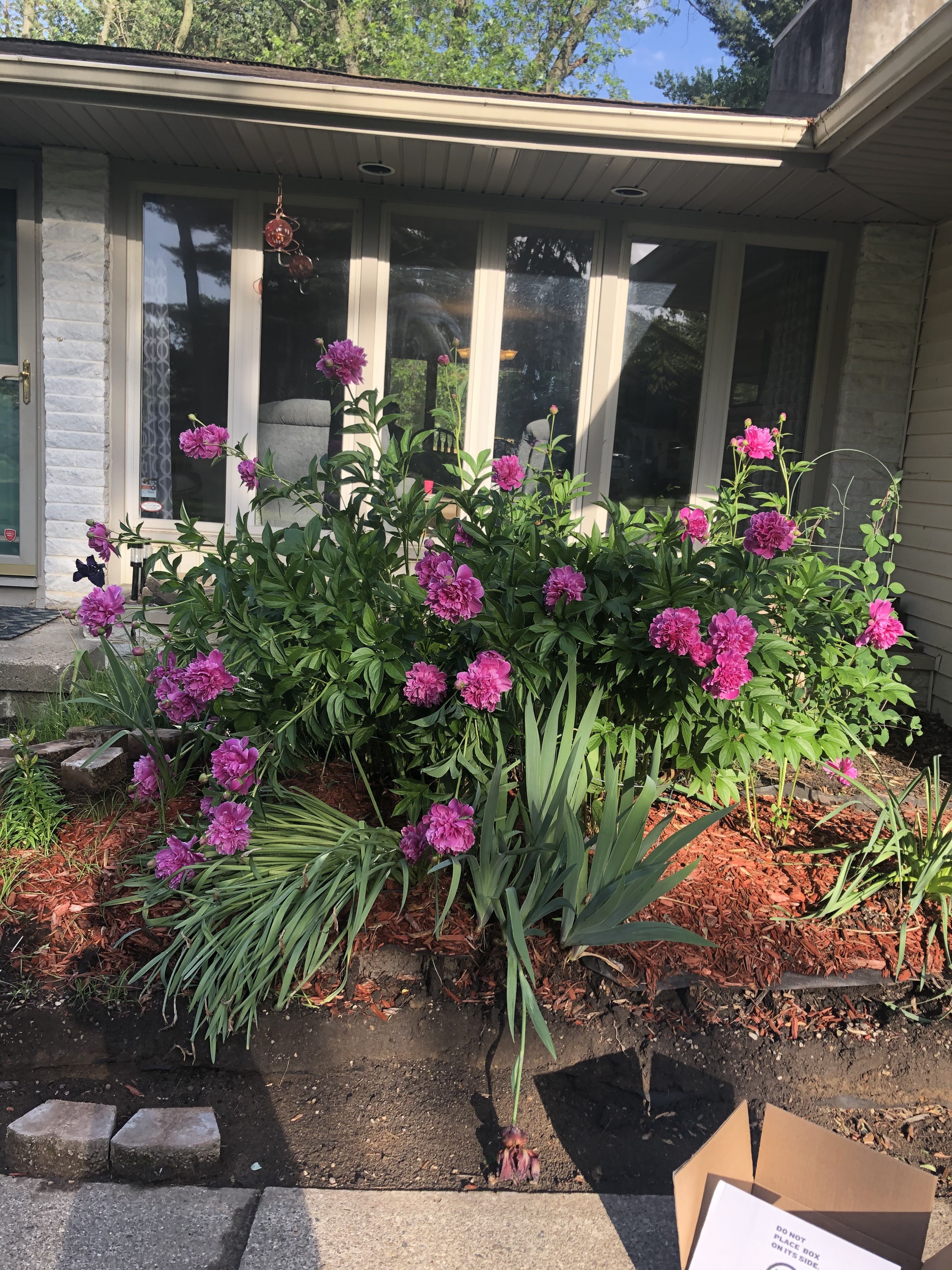 La casa de Nadia - Jackson / États-Unis - HomeExchange